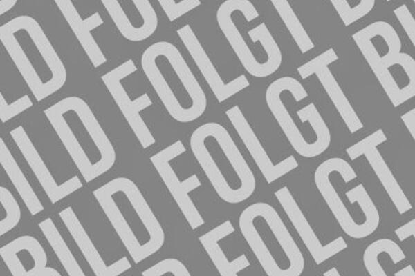  Klasse D/DE - Mercedes 303 